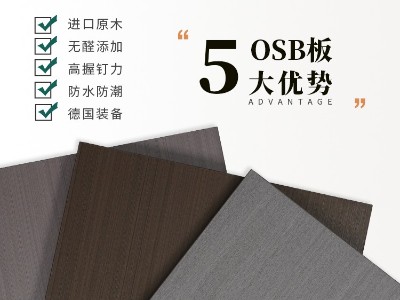 魯麗精板  加利葉語(yǔ)