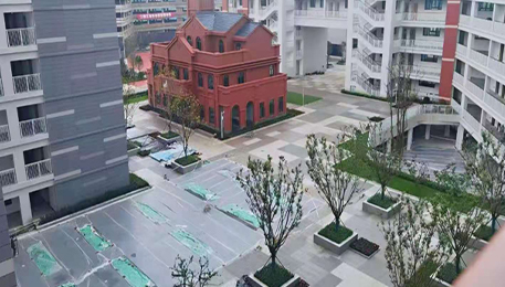 德源小學(xué)和幼兒園工程木門案例